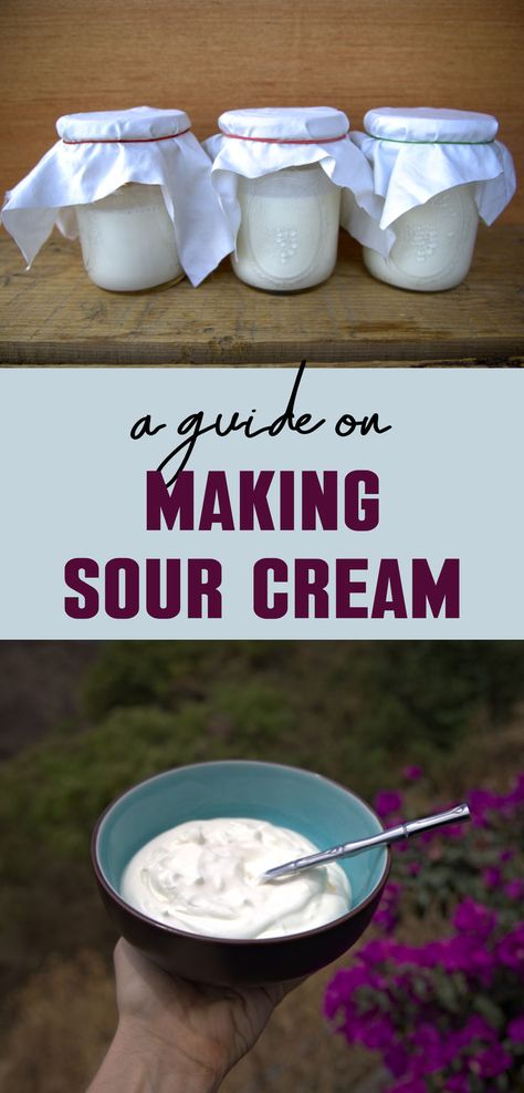 Four methods for how to make homemade sour cream Cheese Recipes Homemade, Make Sour Cream, Cheese Making Recipes, Homemade Sour Cream, Cultured Butter, Coconut Bowls, Homemade Pantry, Sour Cream Recipes, Homemade Condiments