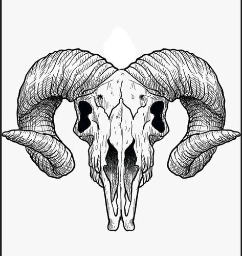 Goat Skeleton Tattoo, Goat Head Tattoo Satanic, Goat Line Art, Animal Skulls Drawing, Goat Skull Drawing, Ram Skull Tattoo Design, Ram Skull Drawing, Longhorn Tattoos, Goat Head Drawing