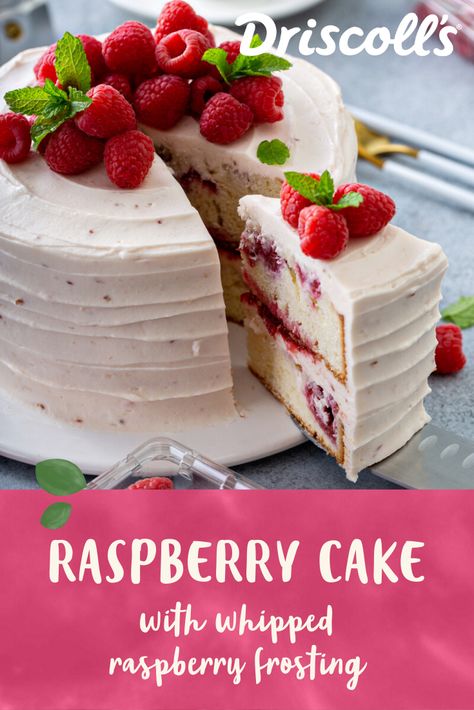 Fresh Cake Recipe, White Raspberry Cake, Raspberry Cakes Birthday, Raspberry Christmas Cake, Fresh Fruit Cake Recipe, Picnic Cake Recipe, Vanilla And Raspberry Cake, Vanilla Cake Ideas, Raspberry Vanilla Cake