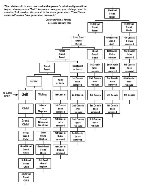 Family Tree labels Family Relationship Chart, Relationship Chart, Second Cousin, Genealogy Chart, Family Tree Project, Family Tree Chart, Family Tree Genealogy, Family Relations, Family Research