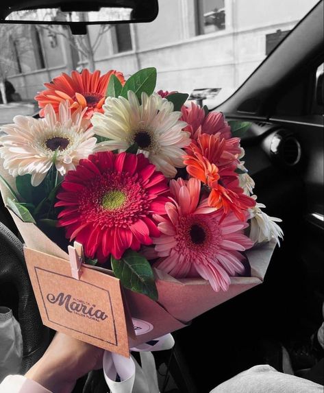 Bouquet Of Gerberas, Gerbera Flower Bouquet, Gerbera Flower, Virtual Flowers, Boquette Flowers, Flower Guide, Flowers Bouquet Gift, Nothing But Flowers, Funny Photography