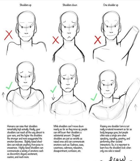 shoulders Base Ideas, 얼굴 드로잉, Art Advice, Art Students, Basic Drawing, 캐릭터 드로잉, Anatomy Drawing, Poses References, Figure Drawing Reference