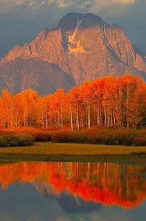 Elven Aesthetic, Jackson Hole Wyoming, Jackson Hole, Alam Yang Indah, Still Water, Pretty Places, Mountain Landscape, Vacation Spots, Fall Autumn