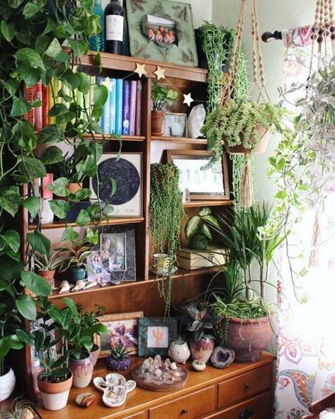 The Hibiscus Room Cool Bookshelves, Bookshelf Decor, Green Rooms, My New Room, Dream Room, Bohemian Decor, Plant Decor, House Inspiration, Home Deco