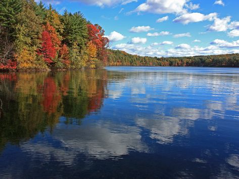 Woods Project, Walden Pond, Future Travel, Natural Environment, Landscape Photos, Open Space, Fourth Of July, Massachusetts, Wood Projects