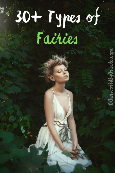 Fairy Types Mythology, Types Of Fae Creatures, Types Of Fairy Wings, Elemental Fairy, Fairy Types, Faery Magick, Faerie Magick, Types Of Elves, Spirits Of The Forest