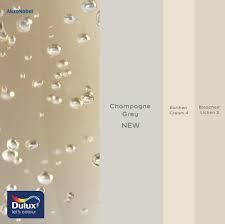 Champagne Wall Paint, Kitchen Champagne Color, Beige Interiors, Champagne Bedroom, Dulux Paint Colours, Neutral Wall Colors, Champagne Colour, Dark Grey Walls, Light Grey Walls