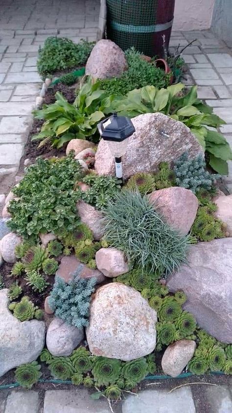 Rock Garden Succulents, Succulents Rock Garden Outdoor, Rock Garden Design Ideas Small Spaces, Rocks Around Shed, Using Logs In The Garden Ideas, Rockeries Garden Ideas, Rock Gardens Diy, Rock Garden Succulents Landscape Design, Outdoor Rock Garden Ideas