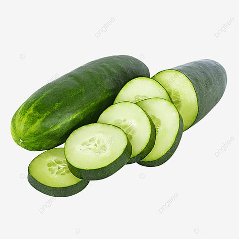 Honey Toast, Png Pictures, Drawing Food, Cucumber Slices, Mini Cucumbers, Rainbow Fruit, High Calorie Meals, Flash Card, Drawing Prompt