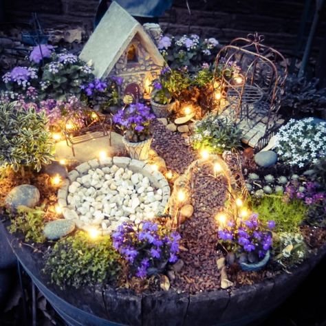 What Is A Fairy Garden/Everything You Need To know Fairy Gardens Diy Fairy Garden Ideas Homemade How To Make, Fun Garden Art, Fairy Garden Containers, Fairy Gnome, Indoor Fairy Gardens, Whimsical Garden Art, Fairy Garden Ideas, Fairy Garden Plants, Fairy Garden Designs