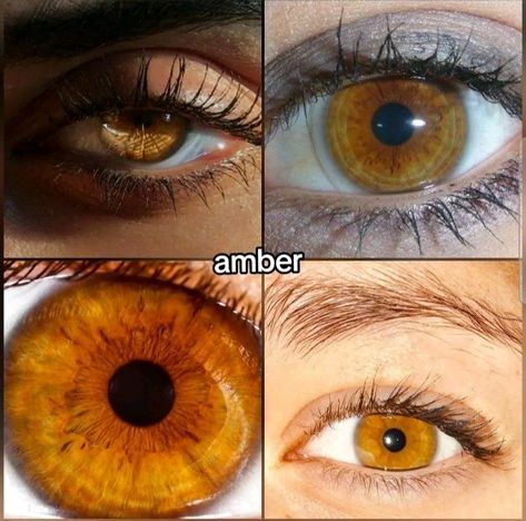 Amber Eyes Color, Pretty Eyes Color, Brown Eyes Aesthetic, Eye Color Chart, Beautiful Eyes Color, Amber Eyes, Types Of Eyes, Makeup Tattoos, Aesthetic Eyes