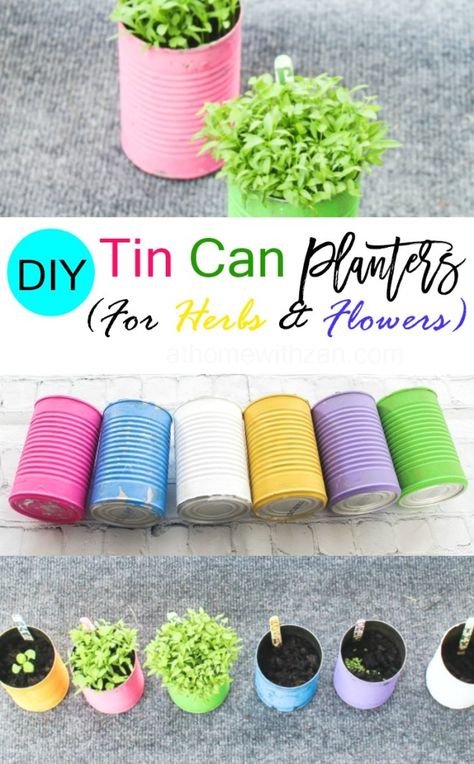 Painting Tin Cans Diy Planters, Upcycled Flower Pots, Can Flowers Diy Tin, Painted Tin Can Planters, Diy Planters Outdoor Cheap, Tin Can Planters Diy, Painting Tins Cans, Class Garden, Tin Can Planters