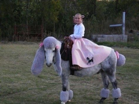 Halloween Costumes For Brothers, Horse Costume, Horse Costumes, Horse Lovers, Costume Halloween, A Horse, Diy Halloween, Halloween Decor, Halloween Costume