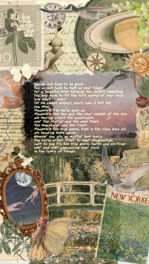 wild geese by mary oliver Wild Geese Mary Oliver, Mary Oliver Poems, Wild Geese, Blue Air, Mary Oliver, Body Love, Beautiful Words, Collage Art, Art Wallpaper