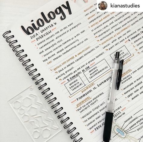 Beautiful Notes Inspiration, Cute Class Notes Ideas, Different Ways To Highlight Notes, Note Inspo Study Inspiration, School Notes Layout Simple, Note Style Ideas, Notes Format Ideas, Note Taking Titles, Written Notes Aesthetic