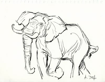 Deja View: Leftover African Cats Elephant Sketch, African Cats, Arte Indie, Animal Drawings Sketches, Elephant Drawing, Animal Drawing, Elephant Art, Animal Sketches, Arte Animal