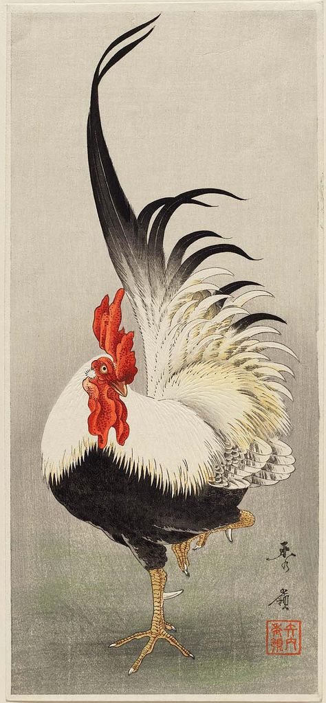 Japanese Rooster Art, Birds Japanese Art, Japanese Bird Illustration, Japanese Ink Art Illustrations, Japanese Art Prints Traditional, Japanese Rooster Tattoo, Japanese Painting Traditional, Japanese Animal Art, Japanese Rooster