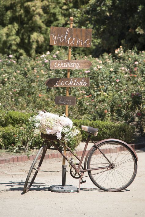 Wedding Bike Decoration, Orcutt Ranch Wedding, Bike Decorating Ideas, Bike Wedding Decor, Vintage Bicycle Decor, Wedding Bike, Vintage Bike Decor, Wedding Bicycle, Bicycle Themed Wedding