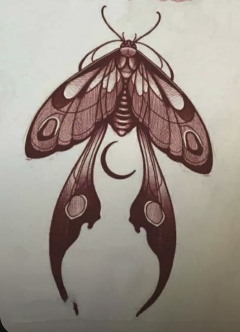 Lunar Moth Tattoo, Wind Logo, Luna Moth Tattoo, Wing Tattoos On Back, Unique Butterfly Tattoos, Lunar Moth, Insect Wings, Dream Catcher Tattoo, Ornament Drawing