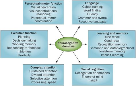 Nat Rev Neurology on Twitter: "New online this week: DSM-5 approach to classifying neurocognitive disorders. http://t.co/Nx9mBK1KTs #newfromnrneurol http://t.co/OC6bIM535N" Pathology Study, Cognitive Domain, Cognitive Impairment, Dsm 5, Receptive Language, Working Memory, Mental Disorders, Occupational Therapist, Neurology