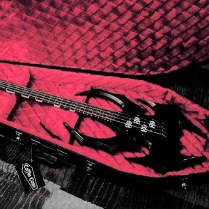 Red And White Guitar, Gothic Music Room, Cool Looking Guitars, Coffin Guitar Case, Cool Guitars Electric, Spider Guitar, Cool Drums, Gothic Guitar, Bass Guitar Design