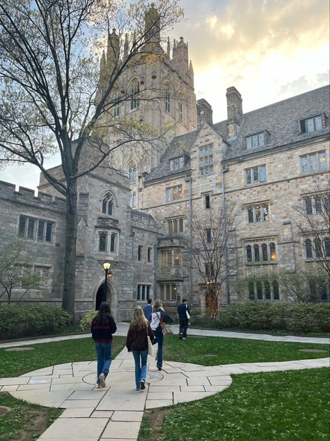 Yale College Aesthetic, Yale Campus Aesthetic, Yale Medical School Aesthetic, Yale University Aesthetic, Collage Campus, Yale University Campus, Yale Dorm, Ivy University, Yale Aesthetic