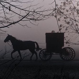 Victorian Horse And Carriage, Victorian Fantasy Aesthetic, Period Dramas Aesthetic, Lady Sherlock, Victorian Mystery, Aesthetic Horror, False God, Georges Bizet, The Legend Of Sleepy Hollow