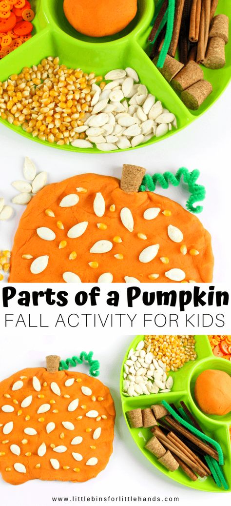 Fall Sensory Playdough, Autumn Themed Activities Eyfs, Pumpkin Provocations Kindergarten, Autumnal Activities For Kids, Thanksgiving Playdough Activities, Fall Playdough Activities, Pumpkin Eyfs Activities, Harvest Eyfs Activities, Parts Of A Pumpkin Craft