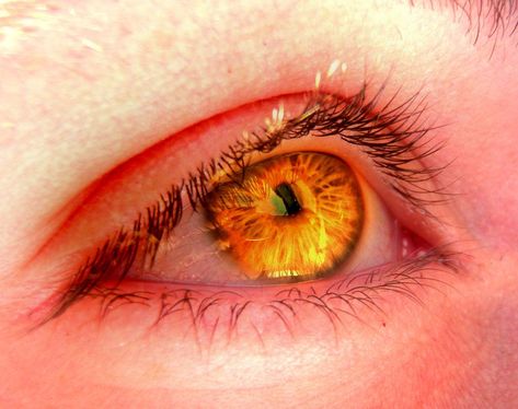 Orange Glowing Eyes, Yellow Glowing Eyes, Glowing Orange Eyes, Dragon Blaze, Character Eyes, Arthur Brown, Orange Aesthetic, Aesthetic Eyes, Gold Eyes