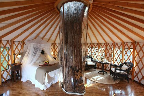 5 Awesome Yurt Kits You Will Love [Pics & Diagrams Included] | Tiny Living Life Yurt Kits, Pacific Yurts, Yurt Interior, Luxury Tree Houses, Yurt Home, Yurt Living, Treehouse Hotel, Interior Floor Plan, Forest Canopy