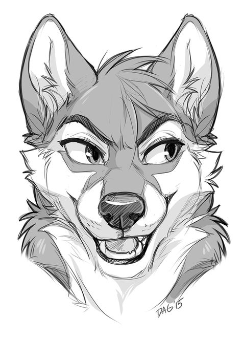 Wolf Character  Sketch / Drawing Fantasy Eyes, Anime Wolf Drawing, Cute Wolf Drawings, Wolf Sketch, Cartoon Wolf, Wolf Character, Drawing Heads, Wolf Drawing, Anime Wolf