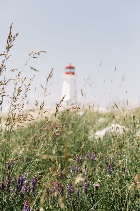 Prince Edward Island Aesthetic, Pei Beaches, Carley Fortune, Maine Aesthetic, East Coast Canada, Pei Canada, Core Aesthetics, Atlantic Canada, Coastal Retreat