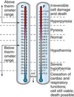 Definition of Temperture in the Medical Dictionary by The Free Dictionary Basal Body Temperature, Nurse Study, Diy Mechanics, Organization Notes, Normal Body Temperature, Medical Dictionary, Human Body Temperature, Temperature Chart, Chemistry Classroom