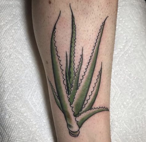 Aloe tattoo Aloe Vera Plant Tattoo, Aloe Plant Tattoo, Aloe Tattoo, Aloe Vera Tattoo, Succulent Tattoo, Tattoos 2023, Left Arm Tattoos, Ink Therapy, New Tattoo Ideas