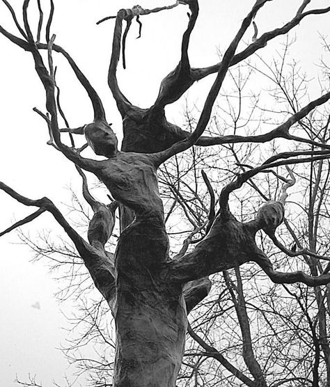 trippy Tree Spirits, Haunted Woods, Tree Spirit, Halloween Tree, Lost Souls, 다크 판타지, Halloween Trees, Halloween Props, Samhain