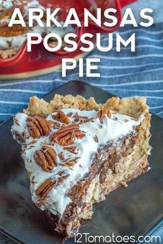 Prune Pie New Mexico, Arkansas Possum Pie Recipe, Possum Pie Recipe Arkansas, Possum Pie Recipe, Arkansas Possum Pie, Pecan Cream Pie Recipe, Autumn Pies, Possum Pie, Pie Recipe Easy