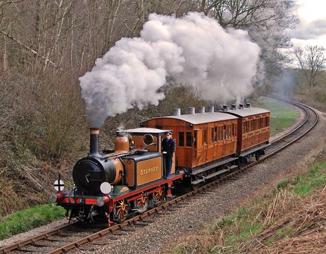 Bluebell Railway - Stepney Locomotives Train Steam Engine, British Steam Locomotive, Train Reference Photo, Bluebell Railway, Steam Trains Photography, Steam Trains Uk, Train Locomotive, Heritage Railway, Steam Engine Trains