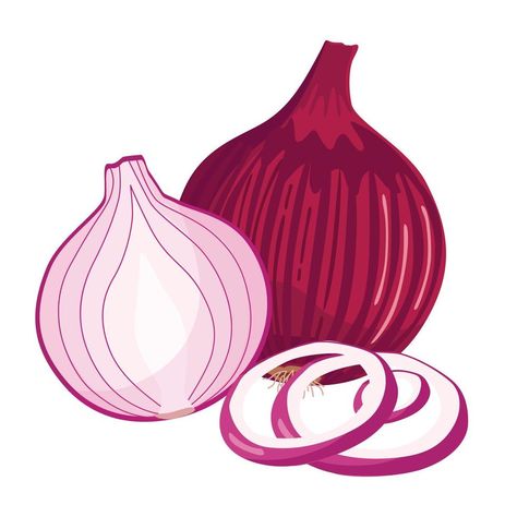 Whole, half, and sliced red onions isolated on white background. Vector cartoon illustration. Red Onion Drawing, Red Onion Illustration, Onion Illustration, Onion Cartoon, Onion Art, Onion Drawing, Vacation Planner Template, Space Coloring Pages, Drawing Competition