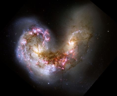 Two galaxies colliding to form a heart. They are called the Antennae Galaxies and are located 45 million light years away. The picture was taken by the Hubble Space Telescope. Galaxies Colliding, Space Core, Hubble Space Telescope Images, Hearts In Nature, California Academy Of Sciences, Heart In Nature, Astronomy Pictures, Photo Documentary, Weird Science