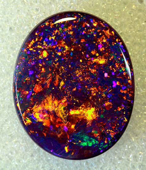 Black Opal is Australia’s national gemstone, and black opal is the rarest and most valuable of its kind, at times selling at prices that rival the best diamonds. The stone must have a rich, black background, but base colors come in all shades of gray, which is why opinions vary on what is a “true” black opal. Found in the Lightning Ridge area in northwestern New South Wales, black opals are natural, solid stones that absorb scattered white light, giving it brilliant spectral colors. Lightning Ridge Black Opal, Pretty Rocks, Tiffany Jewelry, Lightning Ridge, Mineral Stone, Minerals And Gemstones, Rocks And Gems, Precious Gems, Gems And Minerals