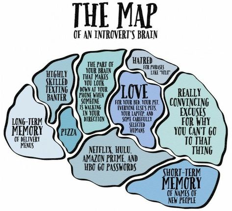 Introvert s brain World Introvert Day, Brain Map, What Is An Introvert, Introvert Personality, Brain Mapping, Hbo Go, Introverts Unite, Introvert Humor, Extroverted Introvert