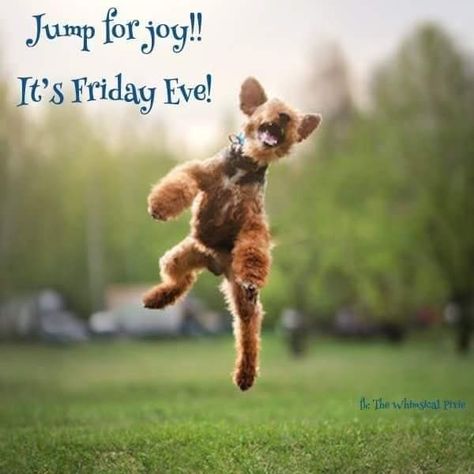 Work Related Quotes, Thursday Greetings, Fabulous Friday, Friday Eve, Friday Blessings, Friday Quotes, Jump For Joy, Its Friday Quotes, Jumping For Joy