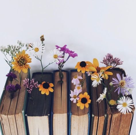 Flowers 🌺 on Twitter: "… " An Open Book, Bookstagram Inspiration, Book Flowers, Images Esthétiques, Open Book, Foto Inspiration, Find Yourself, Book Photography, Book Aesthetic