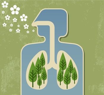 Breathe Deep: 5 Ways to Improve Your Home’s Air Quality for Better Health Asthma Inhaler, Allergy Asthma, Improve Indoor Air Quality, Asthma Attacks, Breathing Techniques, Muscle Relaxer, Air Pollution, Indoor Air Quality, Lungs