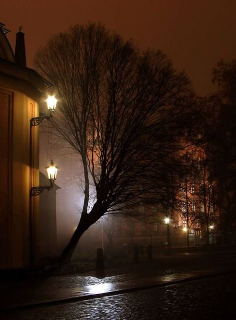 Ravenwhimsy's Wonderful World Autumnal Aesthetic, Gothic Americana, Windy Night, Colour Pictures, Foggy Night, City Streets Photography, Lamp Posts, Night Photo, Street Lights