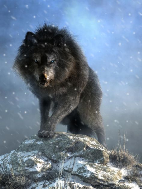 Dire Wolf by deskridge on DeviantArt Yukon Wolf, Wolf Sounds, Largest Wolf, Angry Wolf, Wolf Poster, Wolf Artwork, Fantasy Wolf, Wolf Photos, Wolf Spirit Animal