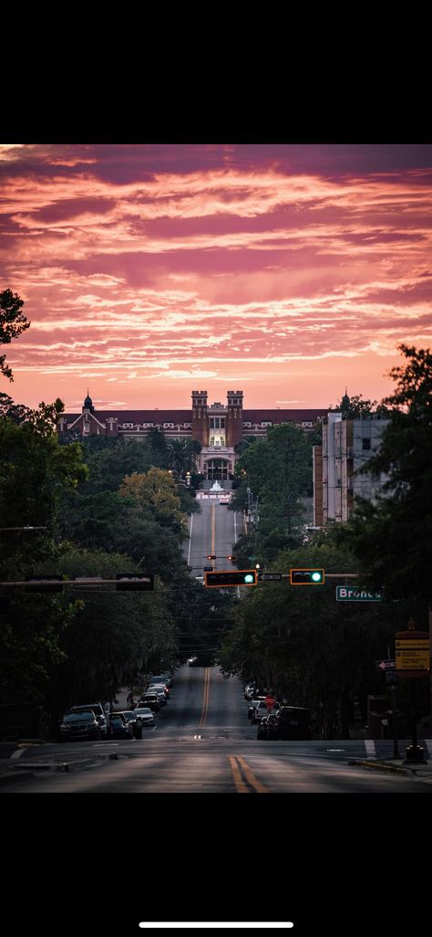 Fsu Aesthetic, Fsu Wallpaper, Fsu Vs Uf, Clemson Football, College Stuff, Dream College, Dream School, Florida State University, Florida State