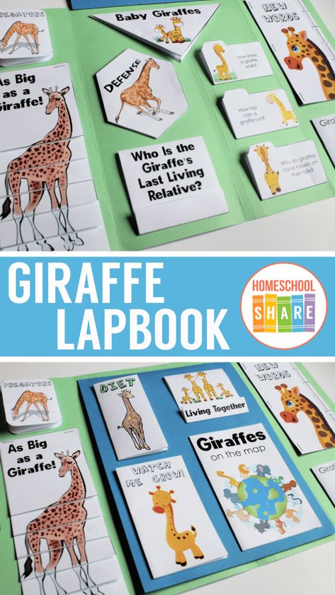 Giraffes Lapbook - Homeschool Share Sassafras Zoology, Animal Lapbook, 7th Grade Homeschool, Giraffe Running, Interactive Lapbooks, Babies Activities, Giraffe Facts, Book Report Ideas, Sharing The Planet