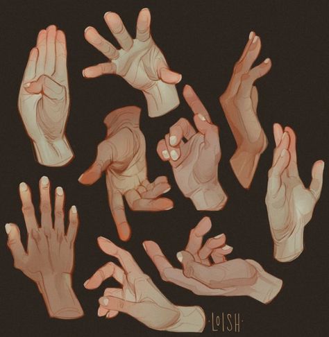 Drawing Hands, Hand Drawing Reference, Hand Reference, Anatomy Drawing, Anatomy Reference, Drawing Practice, Anatomy Art, Hand Art, Illustration Character Design