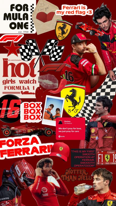 collage wallpaper formula 1 ferrari charles leclerc carlos sainz F1 Collage, Wallpaper Formula 1, Ferrari Charles Leclerc, Formula 1 Ferrari, Starboy The Weeknd, Funny Old People, Prince Of Monaco, Fan Girling, Pray For Love